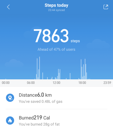 Xiaomi Mi Band 2の歩数データ詳細