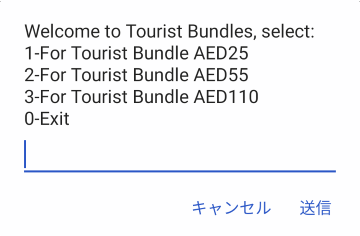 Tourist Combo Bundleの選択