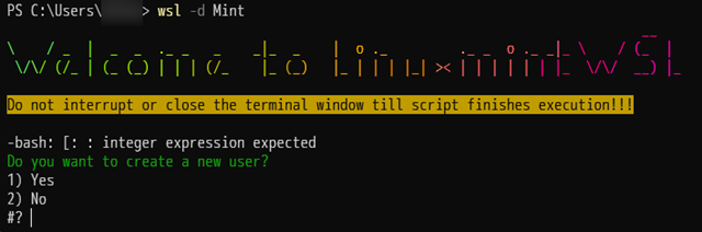 WSL2のLinux Mintの初回起動